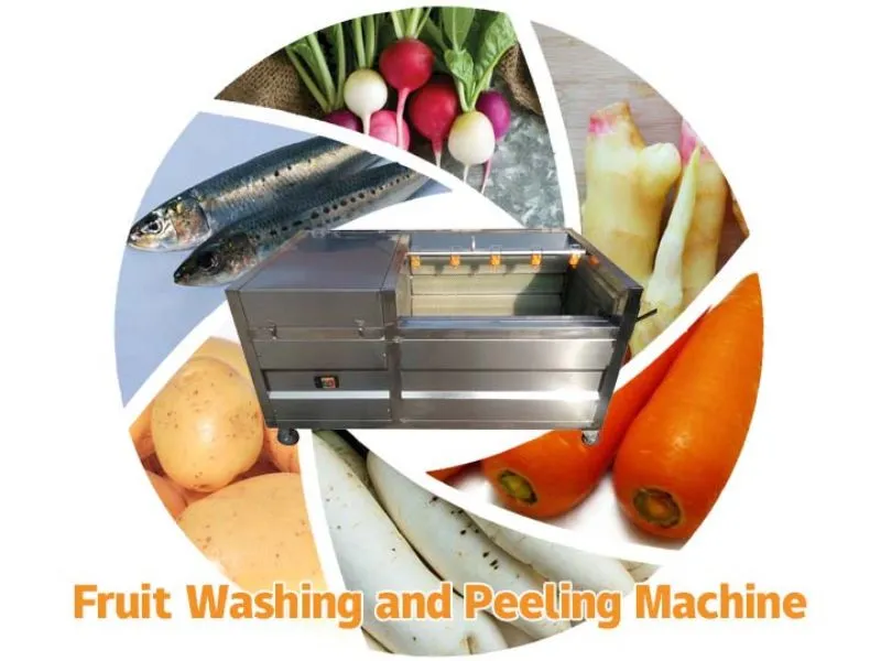 Phương pháp và nguyên lý ứng dụng của máy rửa rau củ