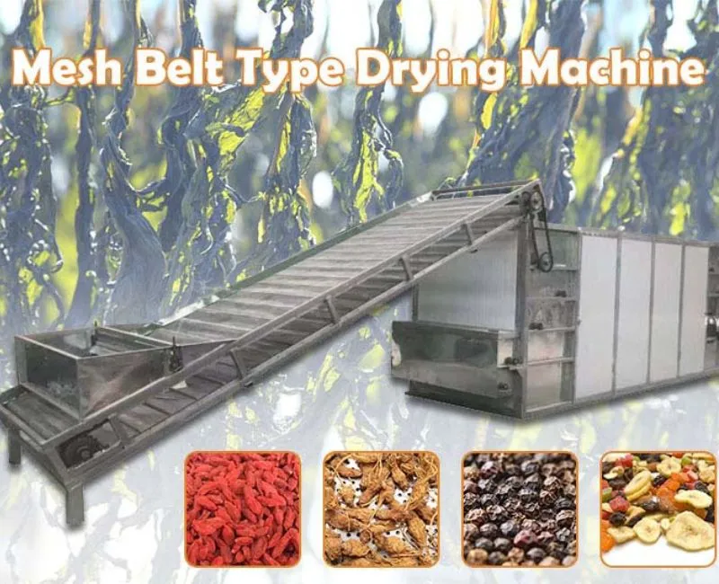 Máy sấy băng tải lưới